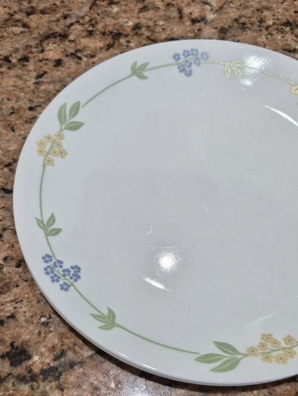 Corelle Secret Garden Dinnerware with Green Leaves and Blue & Yellow Flowers